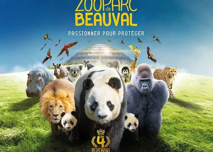 Les Capucines Proche Beauval & Chateaux